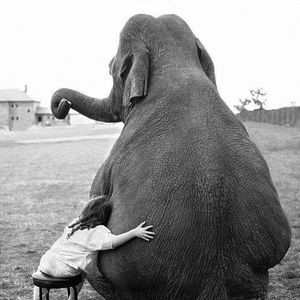 Meet your Posher, Rosaria